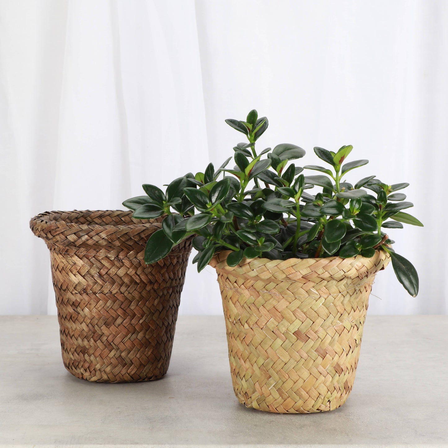4" Woven Decorative Pot Cover for Plants